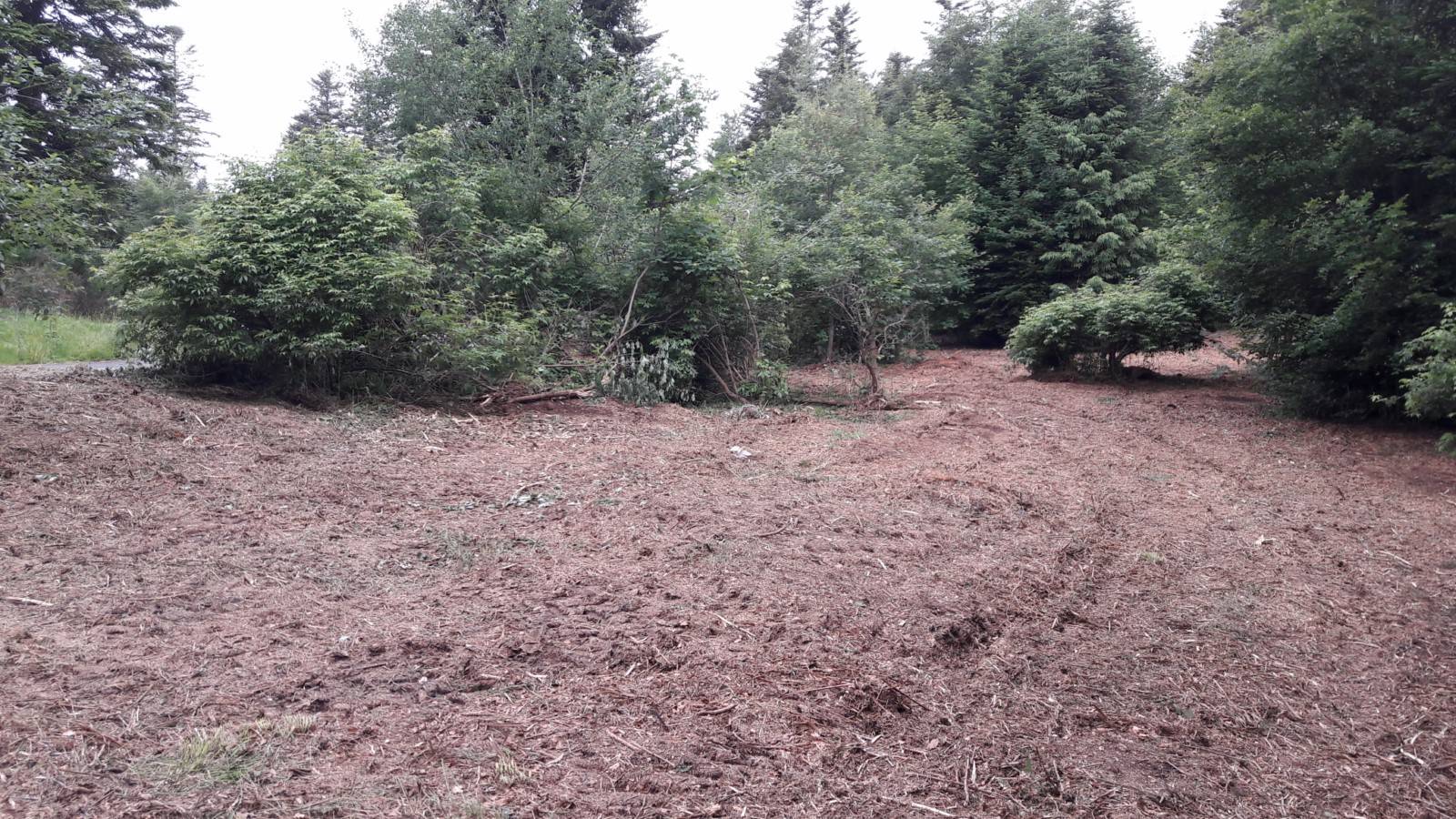 Terrain au Chambon sur Lignon