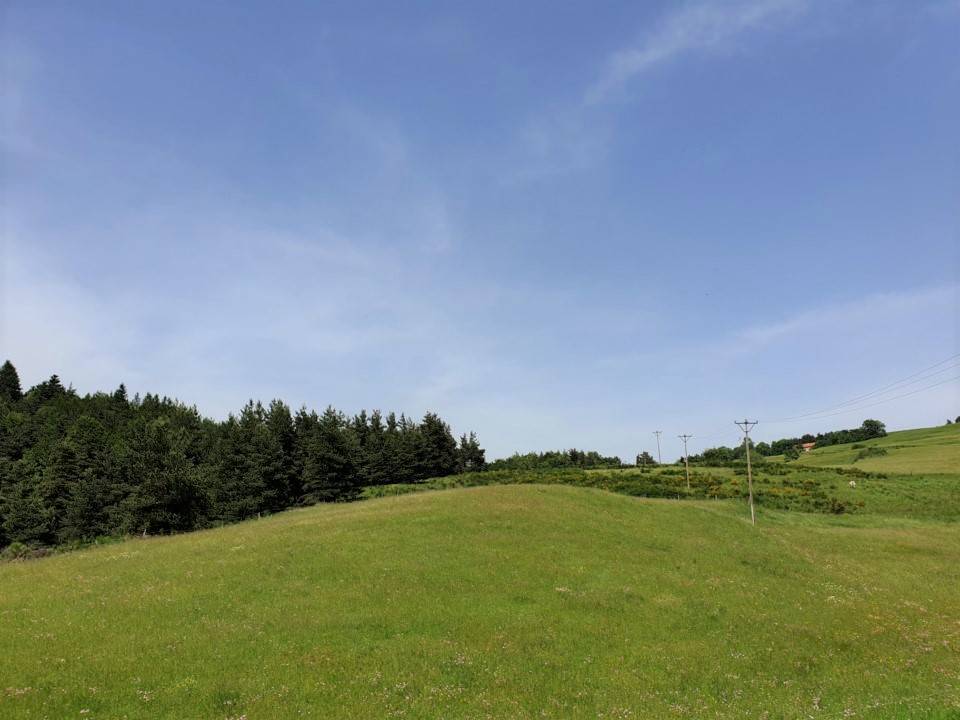 A vendre, ferme avec 7 hectares à Presailles