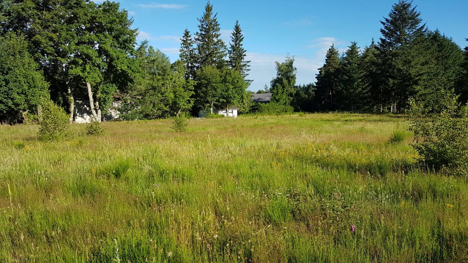 Terrain au Chambon sur Lignon