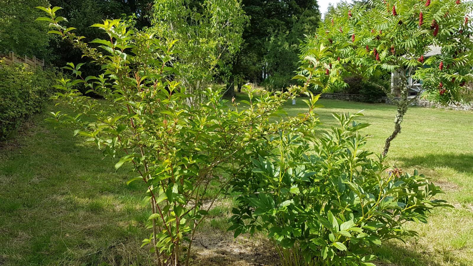 Maison de village à Mars