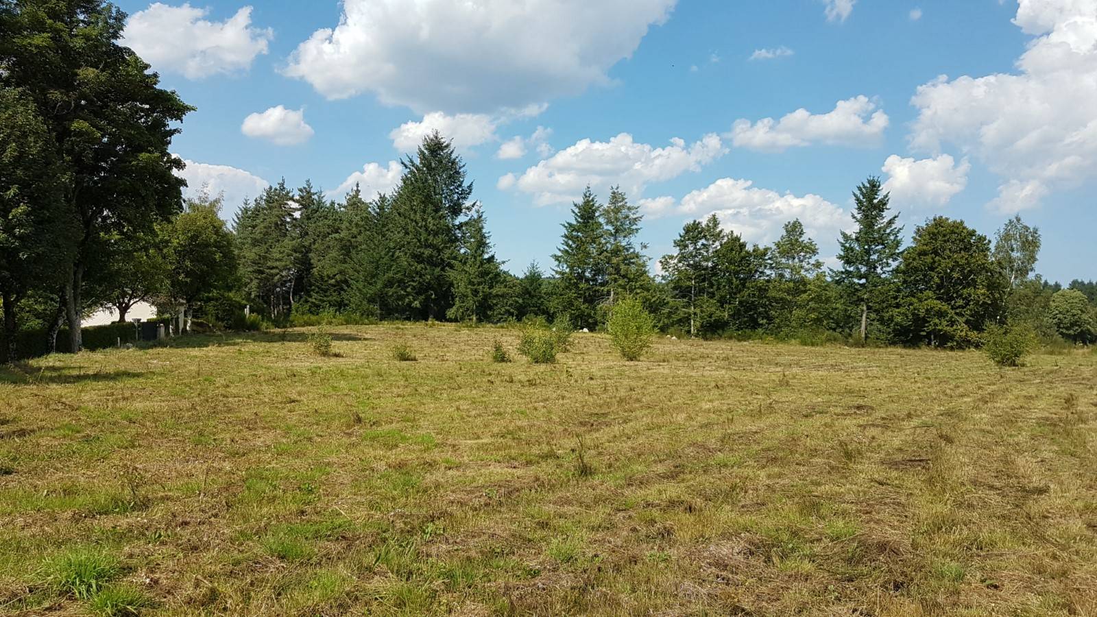 Terrain au Chambon sur Lignon