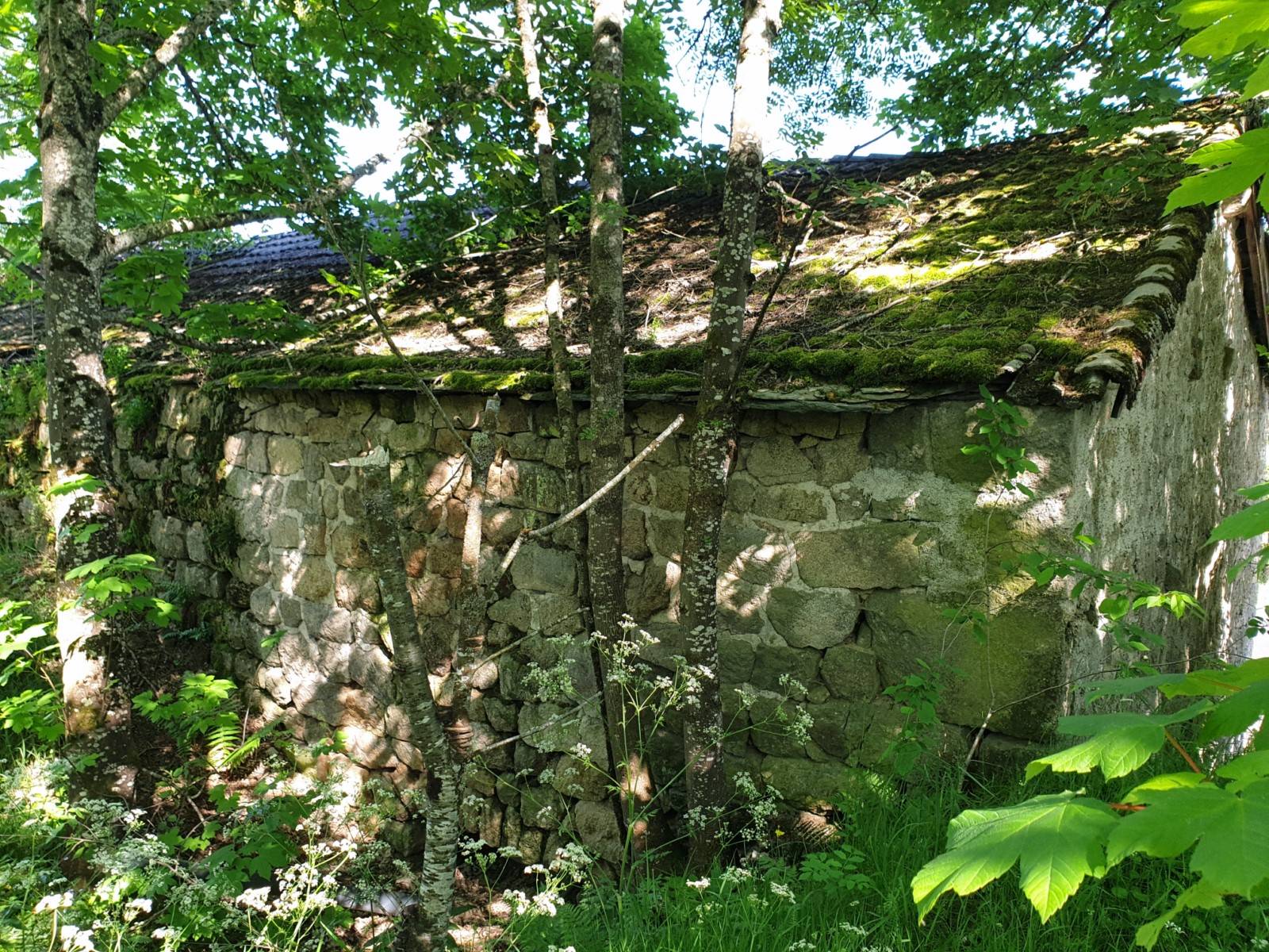Ferme à rénover, secteur Tence