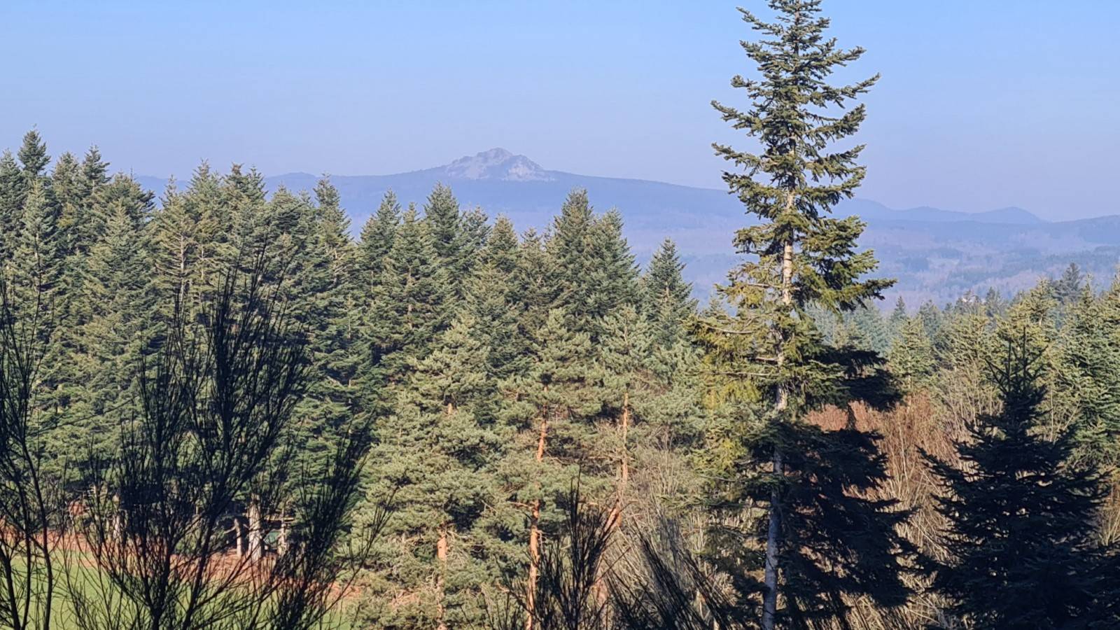 Terrain constructible belle vue expo sud-ouest à proximité du Chambon sur Lignon