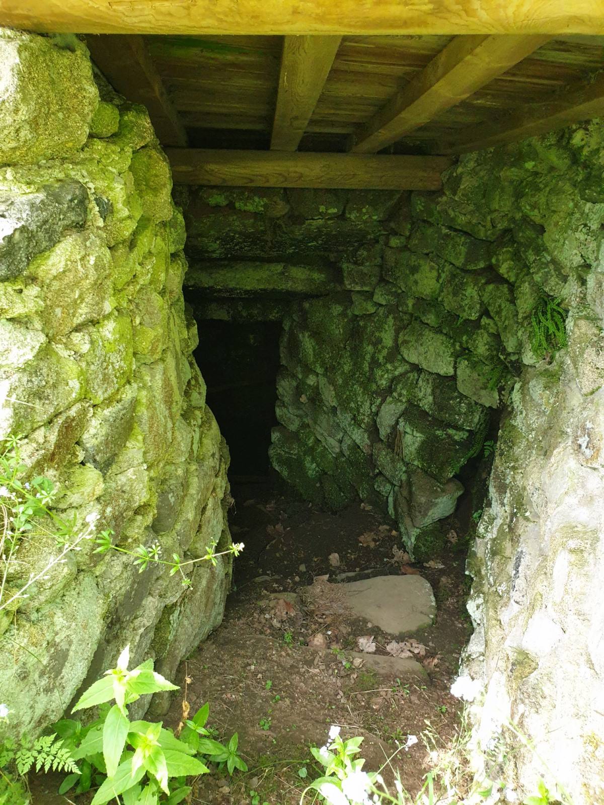 Maisons à rénover sur 11 900m² au Mazet St Voy