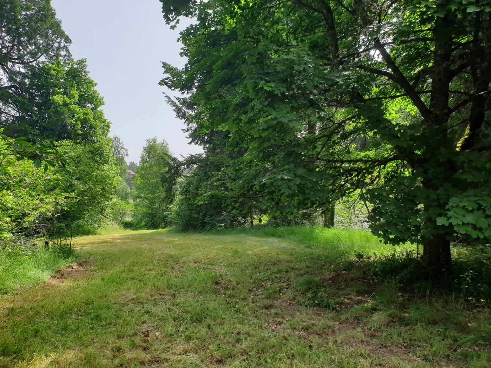 Maisons à rénover sur 11 900m² au Mazet St Voy