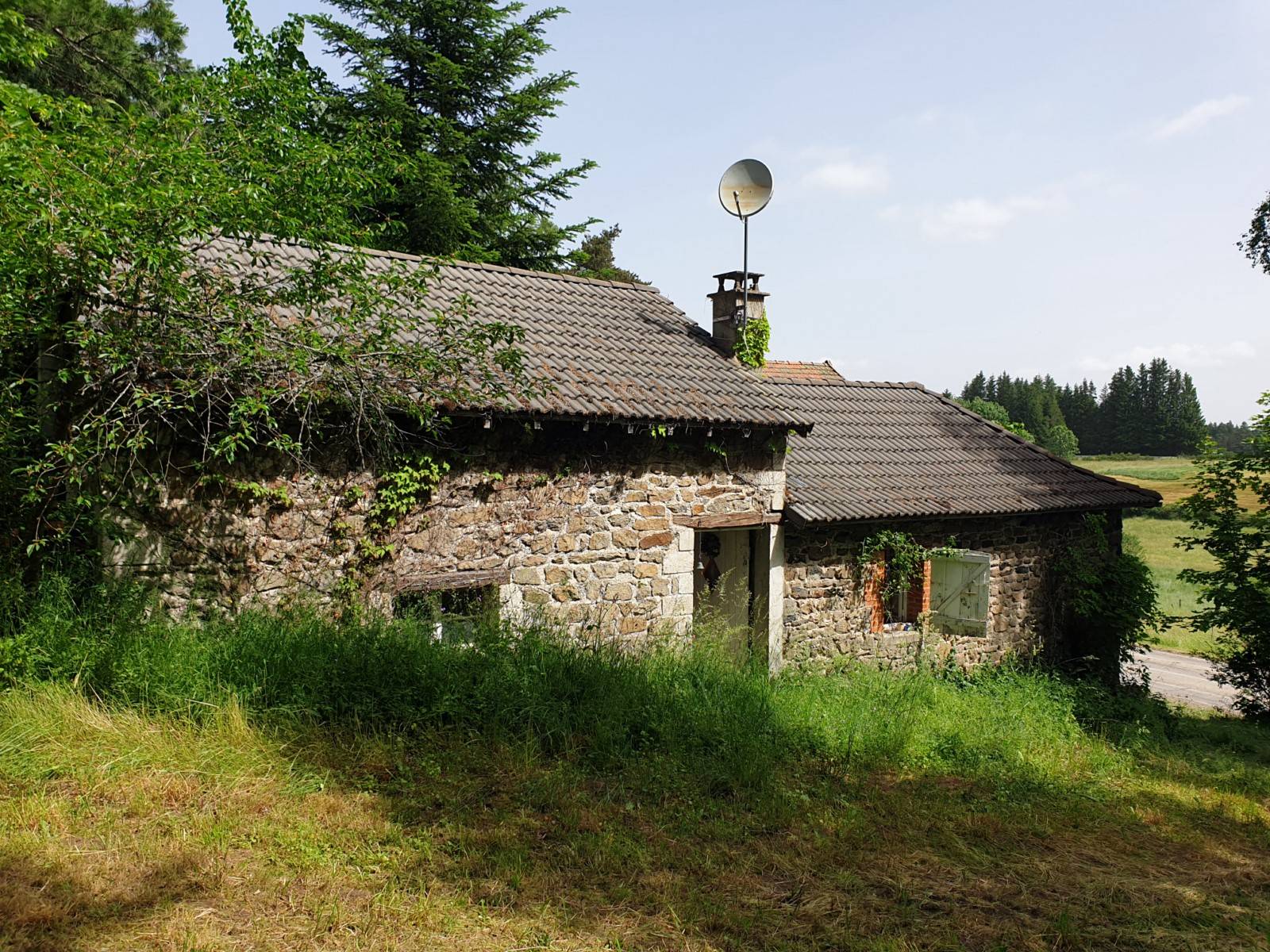 Maisons à rénover sur 11 900m² au Mazet St Voy