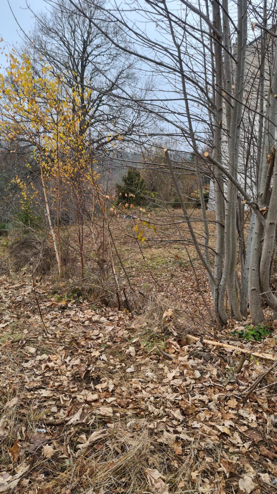 Terrain constructible centre village du Chambon sur Lignon