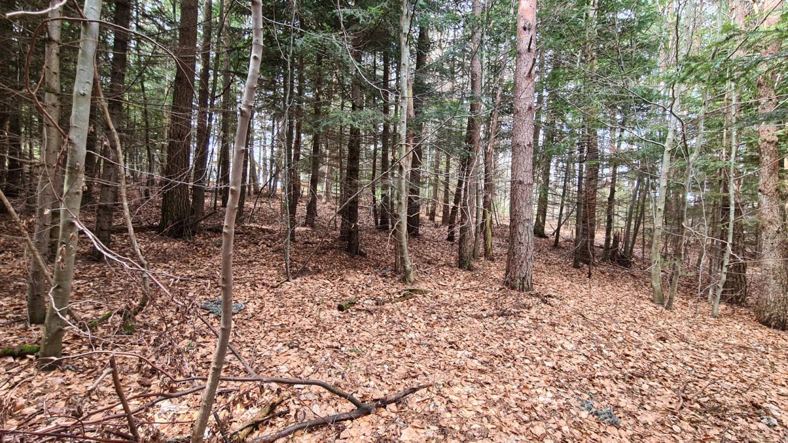 Terrain constructible à l'orée du village du Chambon