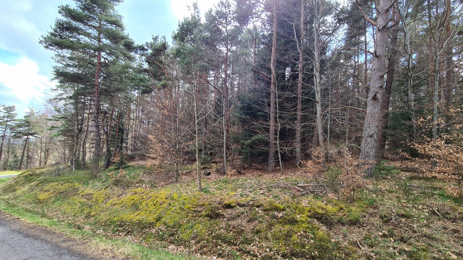 Terrain constructible à l'orée du village du Chambon
