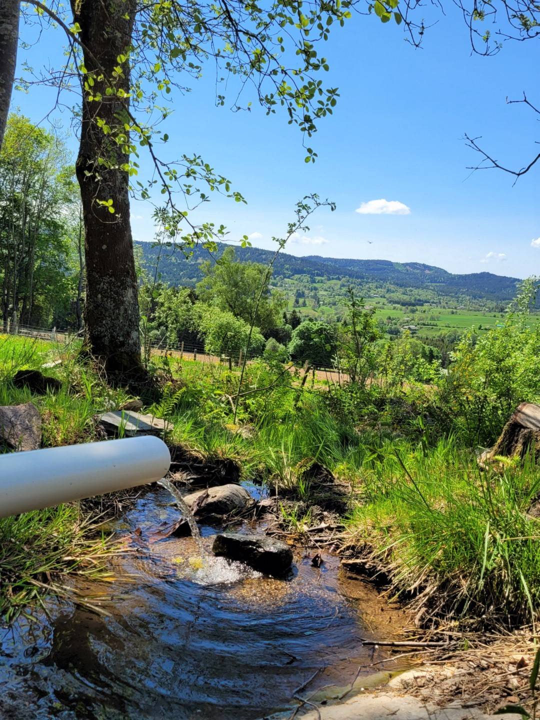 Propriété isolée en pleine nature sur 7.7 hectares avec étang à Araules