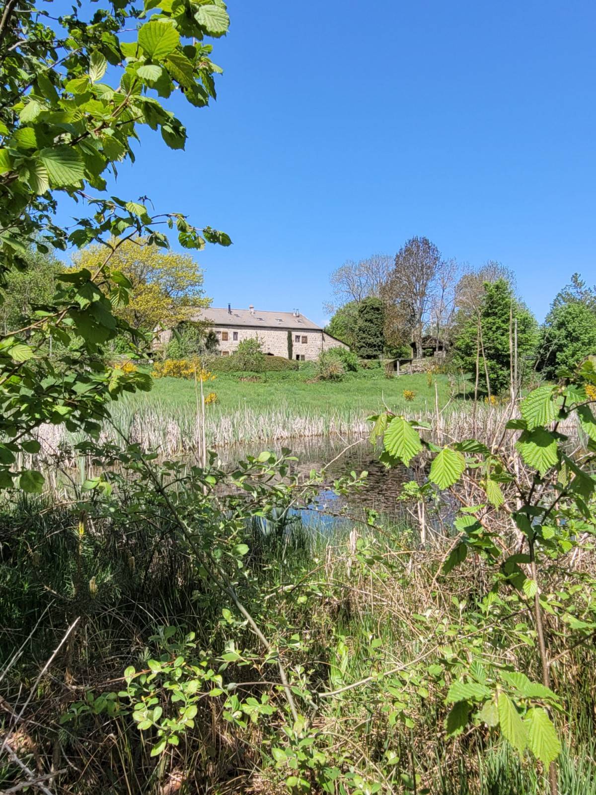 EXCEPTIONNEL ! Ferme avec plus de 13.5 hectares et étang proche du centre du village du Chambon sur Lignon