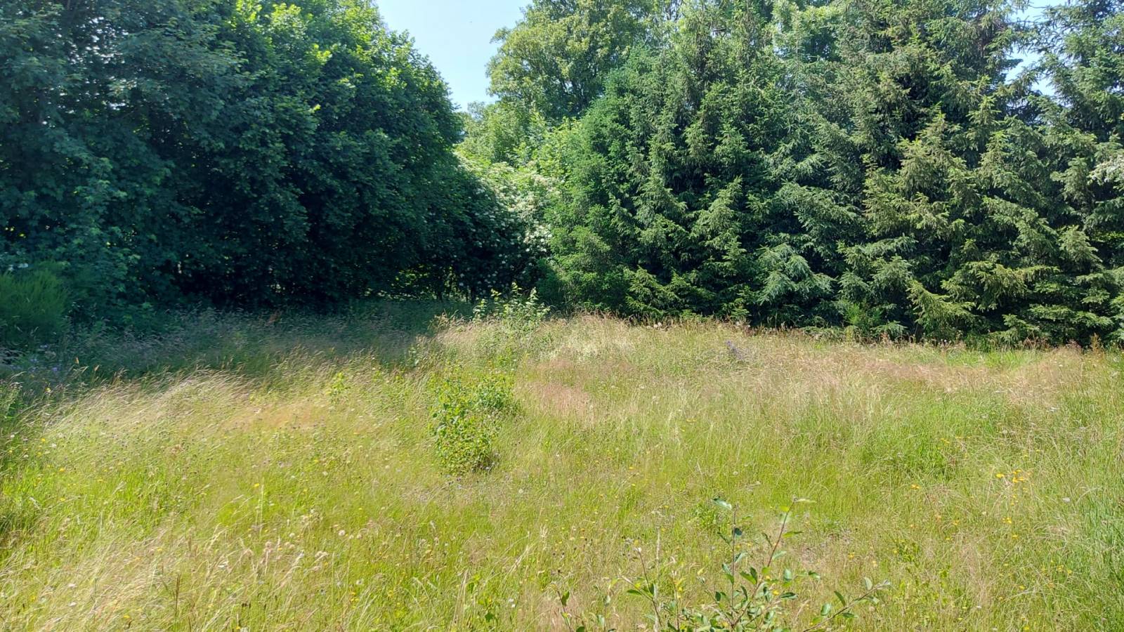 Terrain constructible proche du Chambon sur Lignon