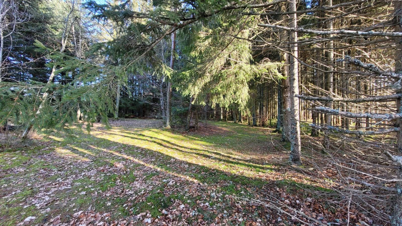 Terrain au calme à l'orée du village au Chambon sur Lignon