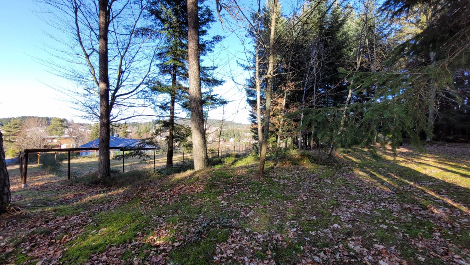 Terrain au calme à l'orée du village au Chambon sur Lignon