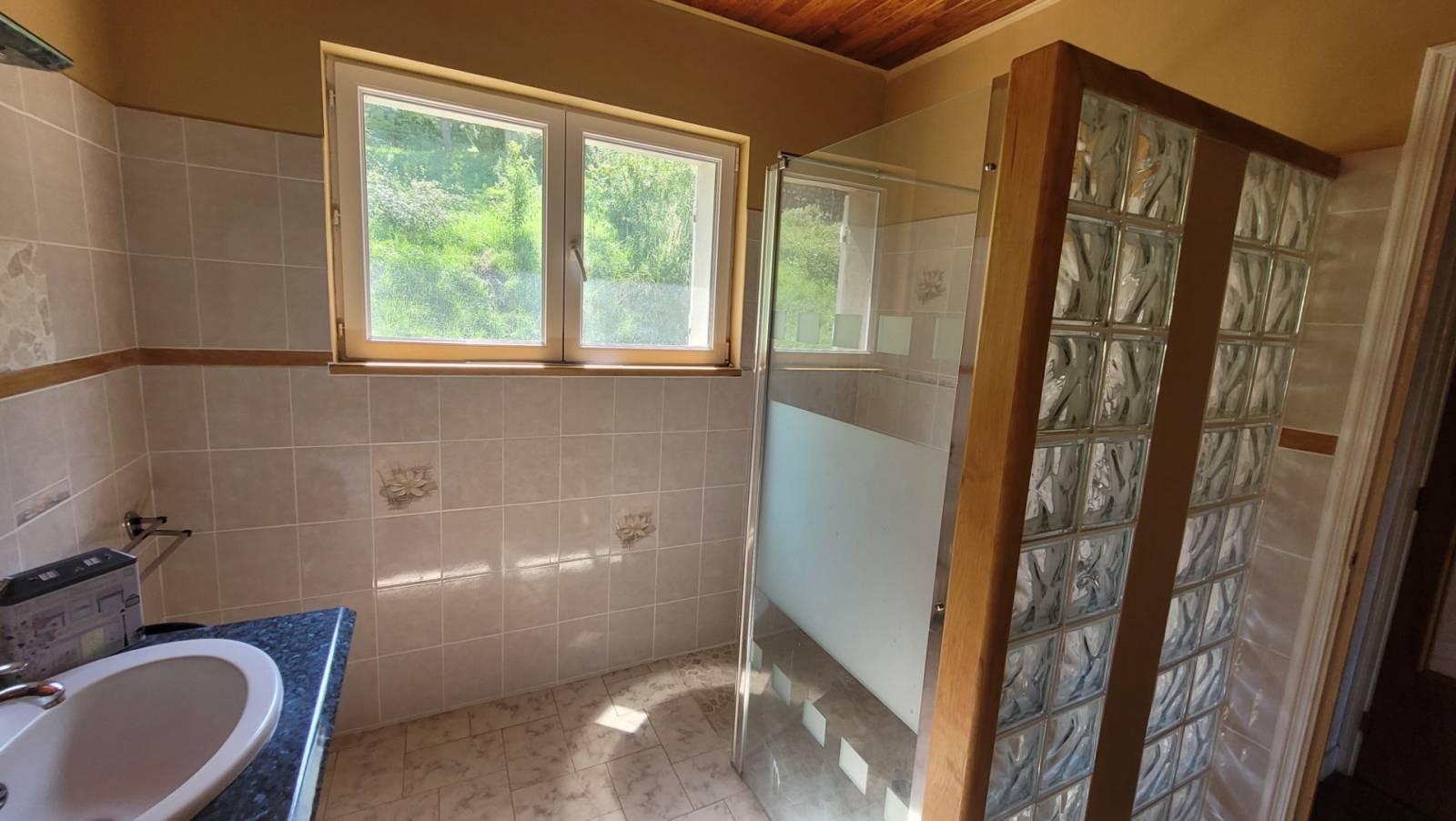 Maison avec jardin, terrasse et garages à Fay sur Lignon