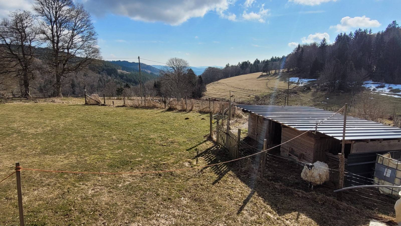 Ferme sur 1ha7 en campagne de St André en Vivarais