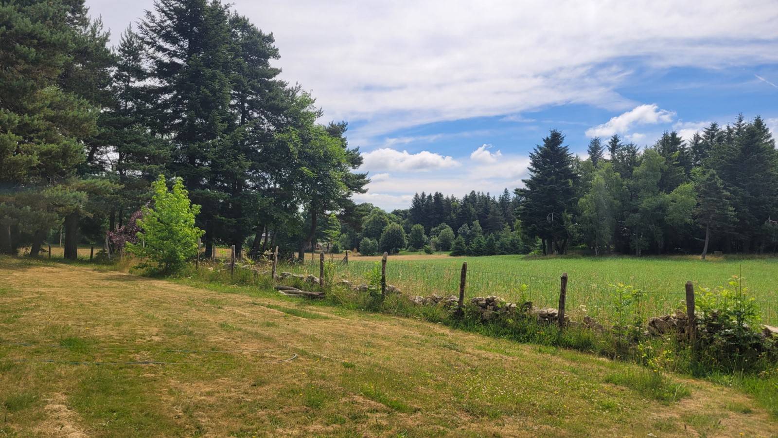 Maison T3 à Tence sur 3390 m² de terrain plat