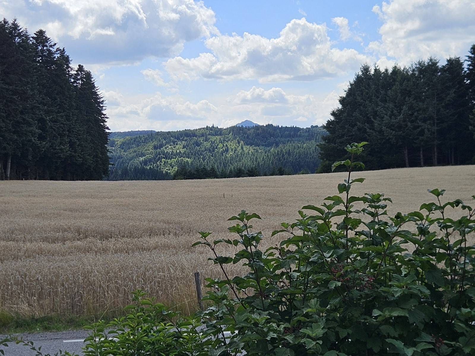 Maison contemporaine sur le secteur de Tence