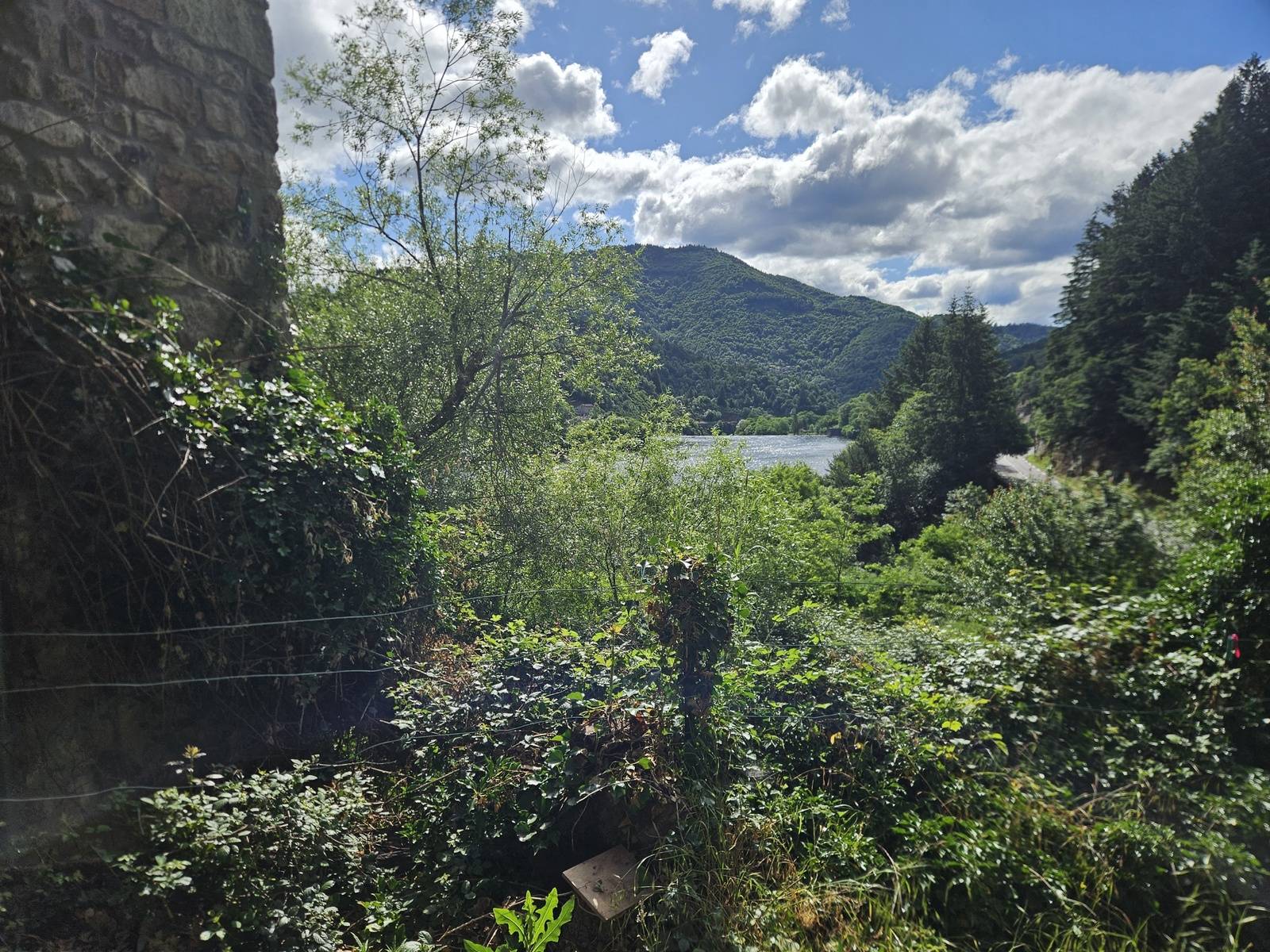Propriété forestiere et bâtiment
