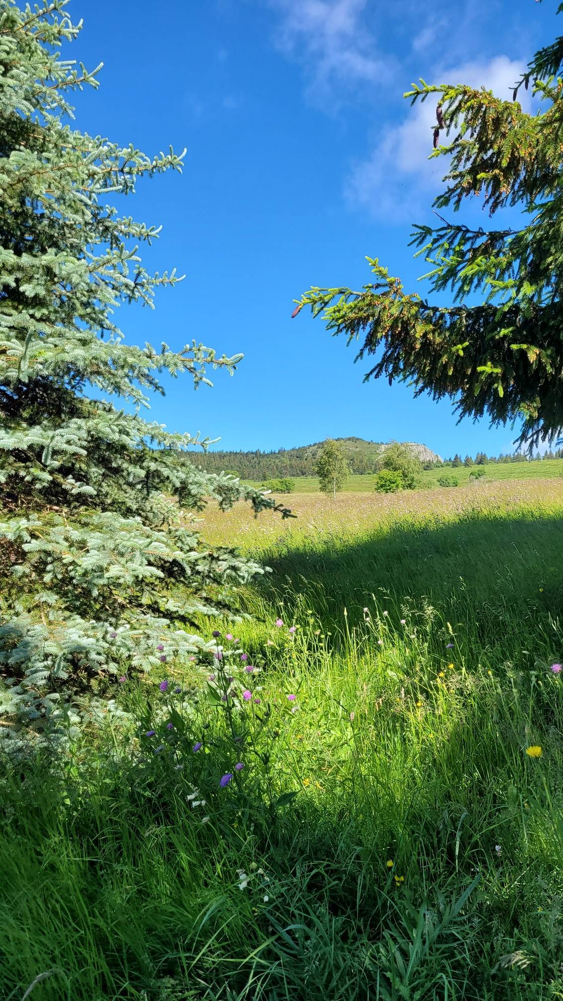 Ancienne ferme rénovée - Les Estables