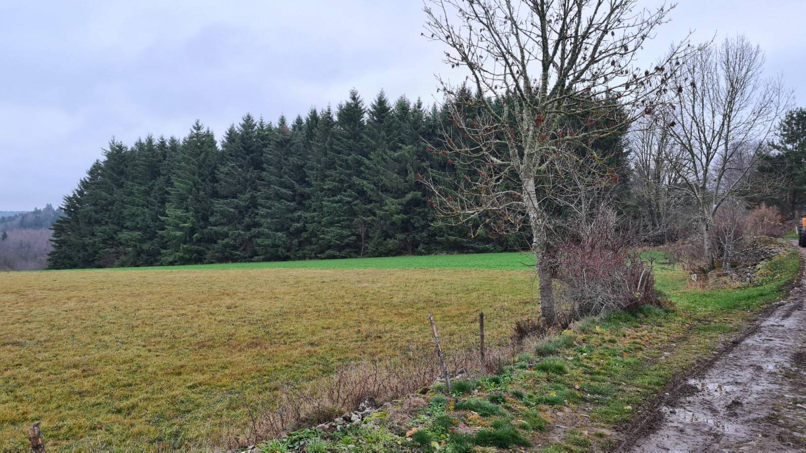 Parcelles de bois Les Vastres