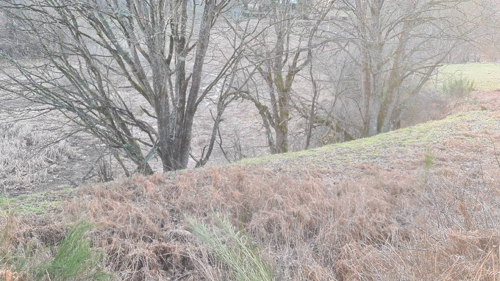 Parcelles bois et pâtures au Chambon sur Lignon