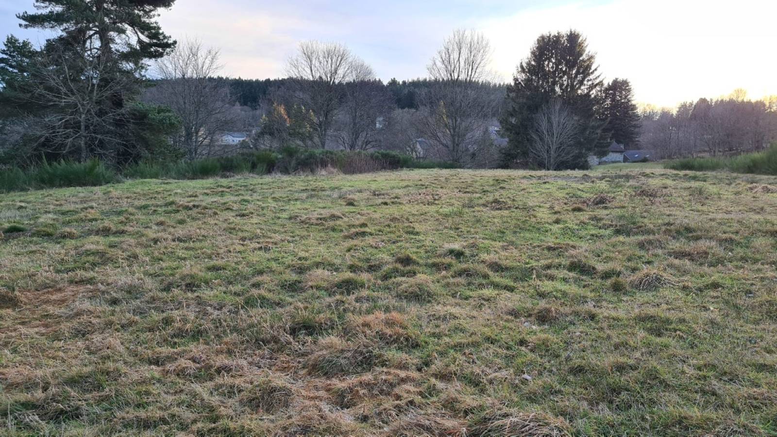Parcelles bois et pâtures au Chambon sur Lignon