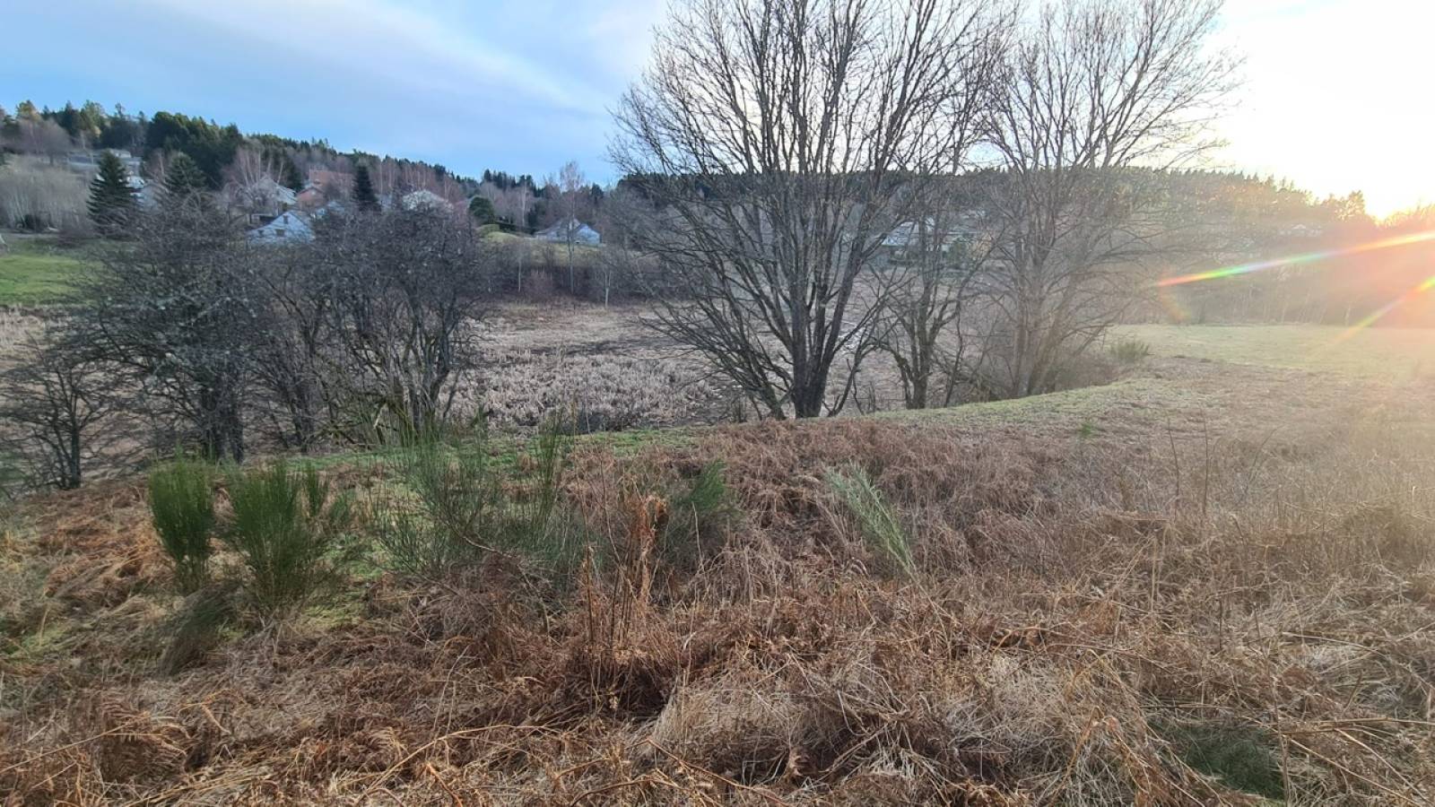 Parcelles bois et pâtures au Chambon sur Lignon