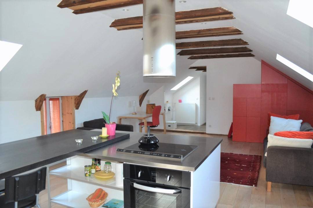 Appartement rénové T3 Saint Agrève Très clair, ensoleillé et calme. Alliant contemporain et matériaux anciens nobles.