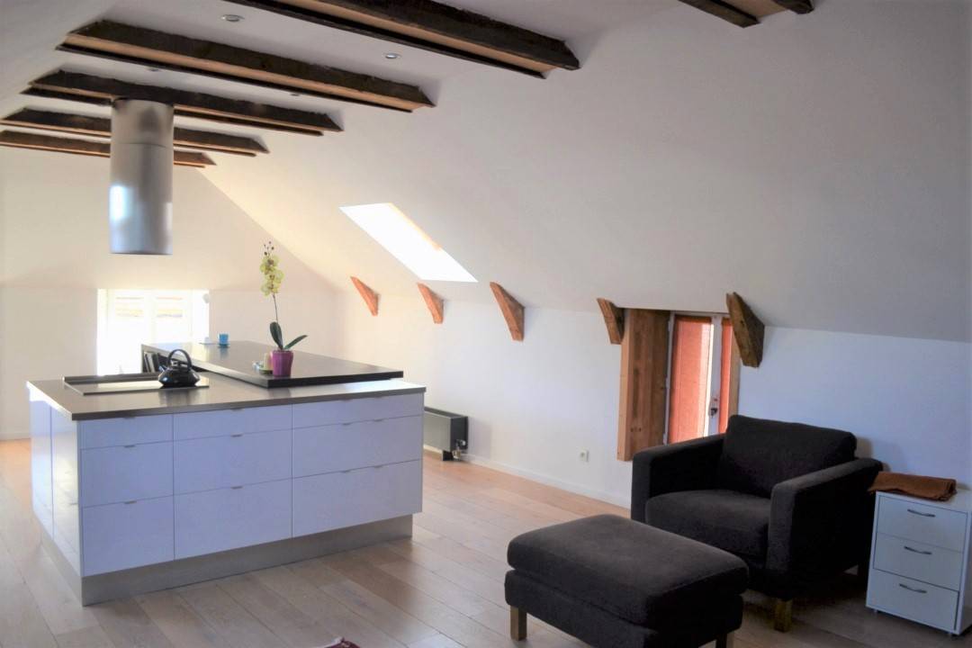 Appartement rénové T3 Saint Agrève Très clair, ensoleillé et calme. Alliant contemporain et matériaux anciens nobles.