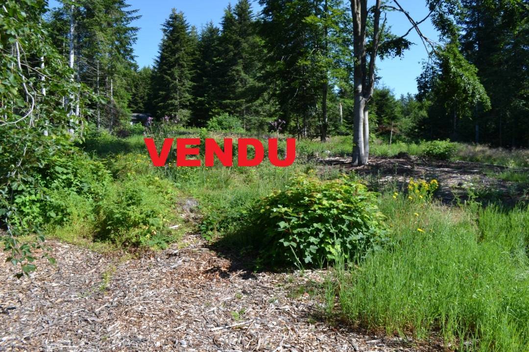 Terrain Le Chambon sur Lignon Quartier calme.  Orée du village.