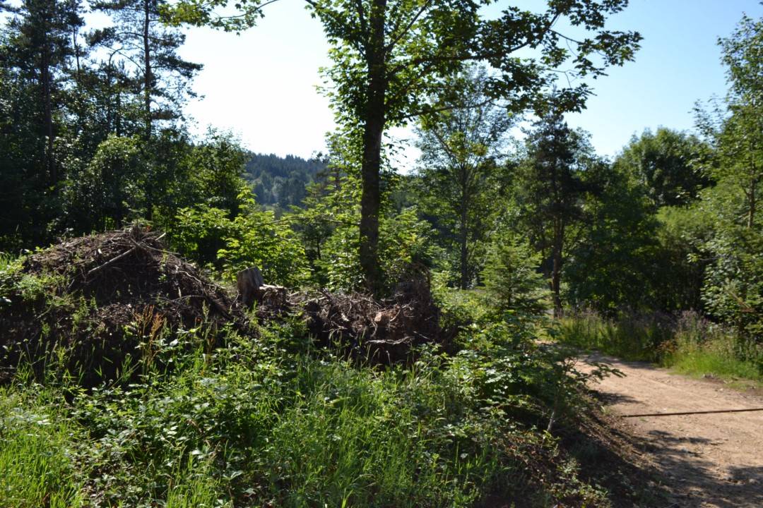Terrain Le Chambon sur Lignon Quartier calme.  Orée du village.