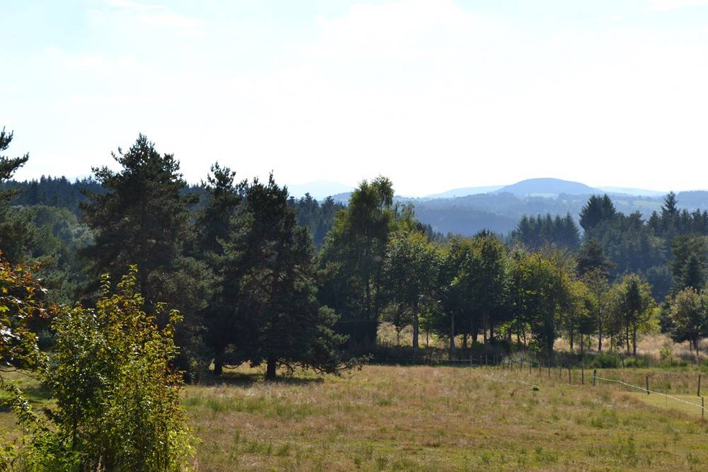 Villa de Type ossature bois