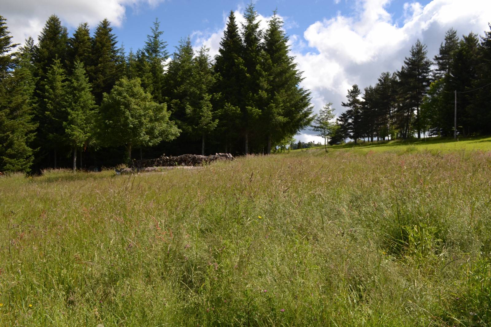 A vendre, maison en pierre avec 1hectare à St Agrève