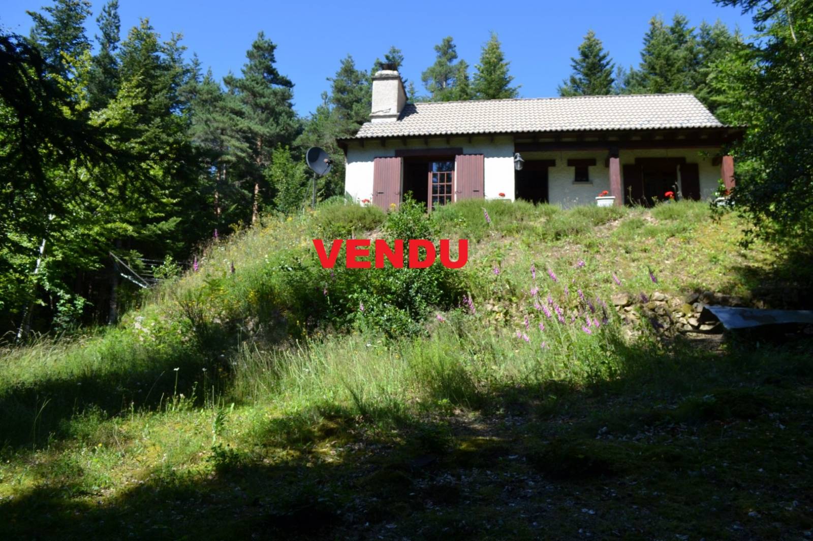 Maison sans vis-à-vis dans environnement boisé au Chambon sur Lignon