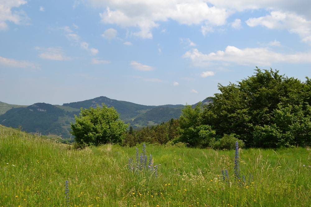 Ferme authentique du Mézenc, 1.4Ha de terrain, entièrement rénovée