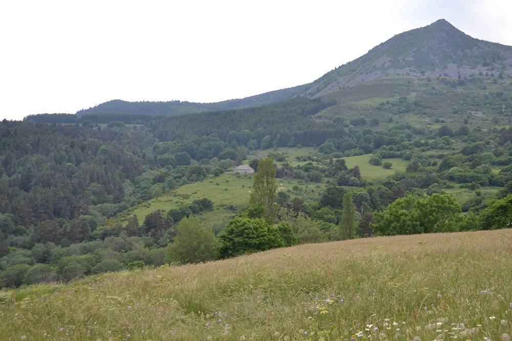 Ferme authentique du Mézenc, 1.4Ha de terrain, entièrement rénovée