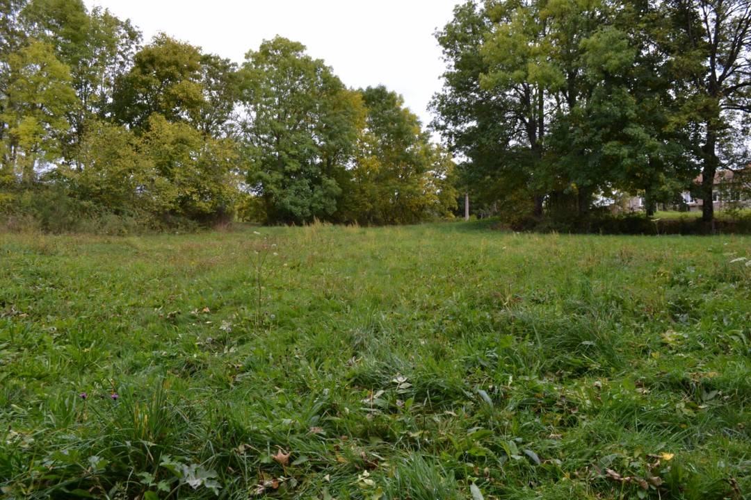 7000m² libre de fermage