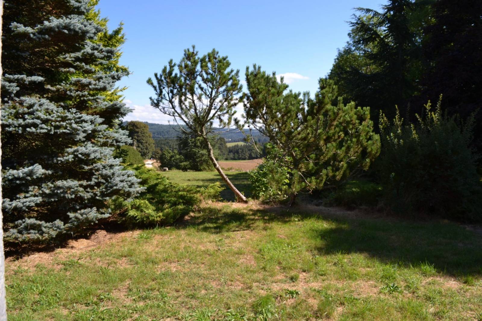 Maison sans travaux à vendre au Chambon sur Lignon