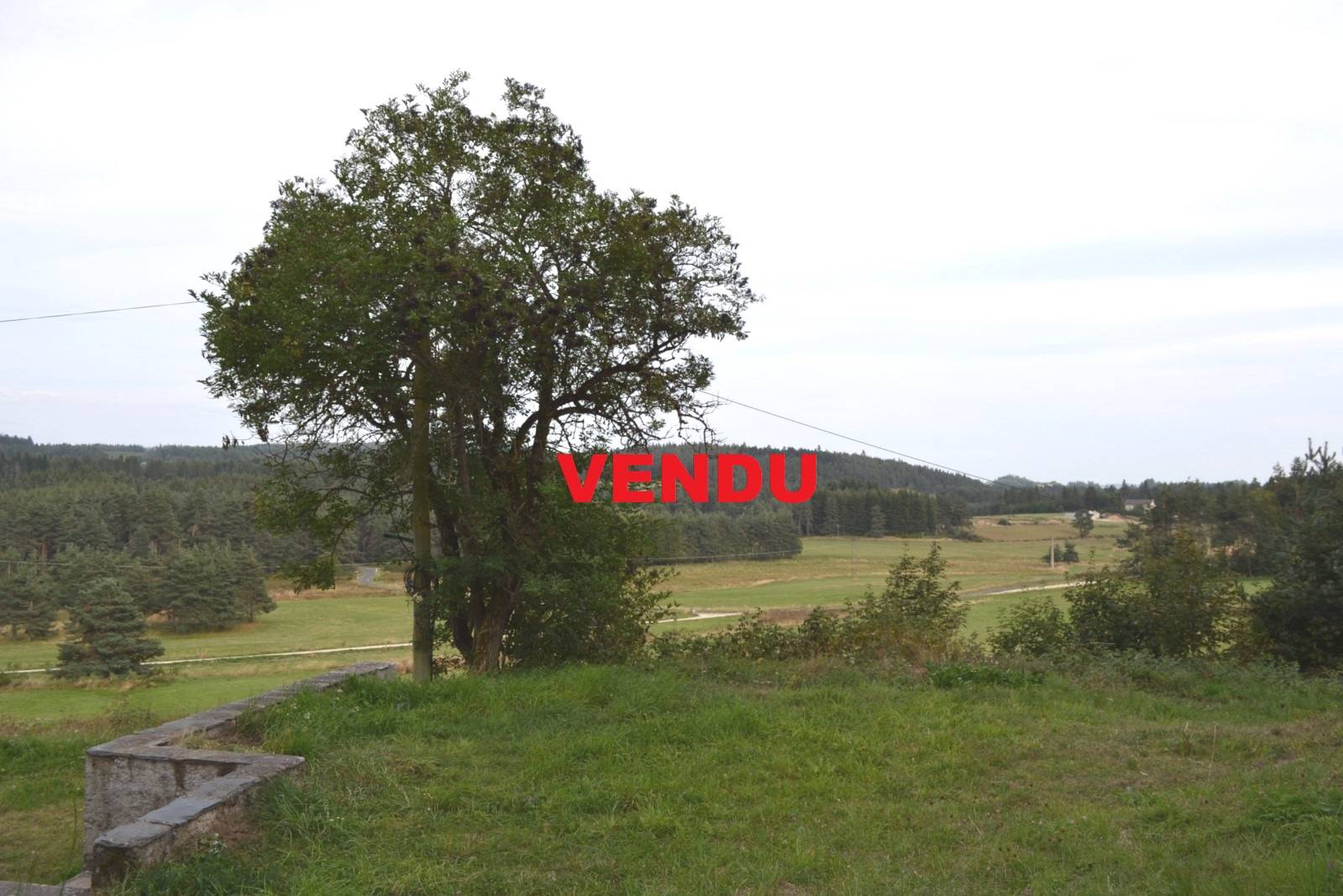 Maison en pierre mitoyenne avec très joli environnement Le Chambon sur Lignon