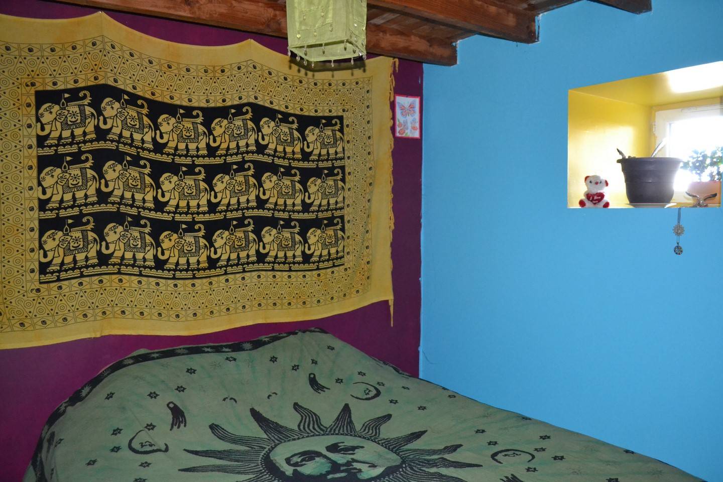 Secteur Mézenc Isolé. 4Ha de terrain. Vue. Cachet.