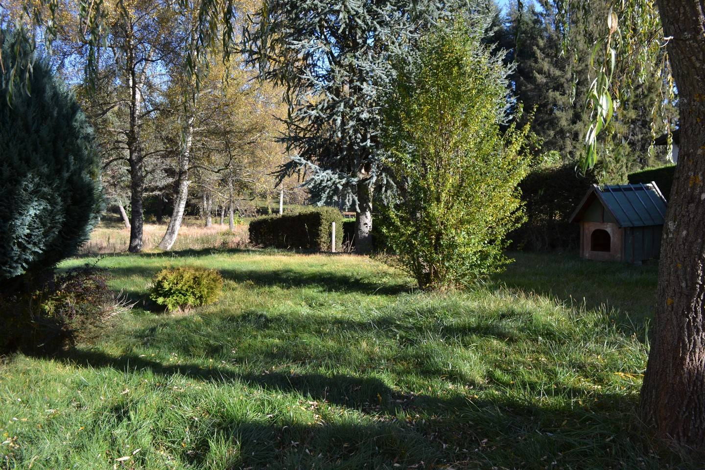 Le Chambon sur Lignon. 4 chambres et un bureau. Proche centre ville. Terrain