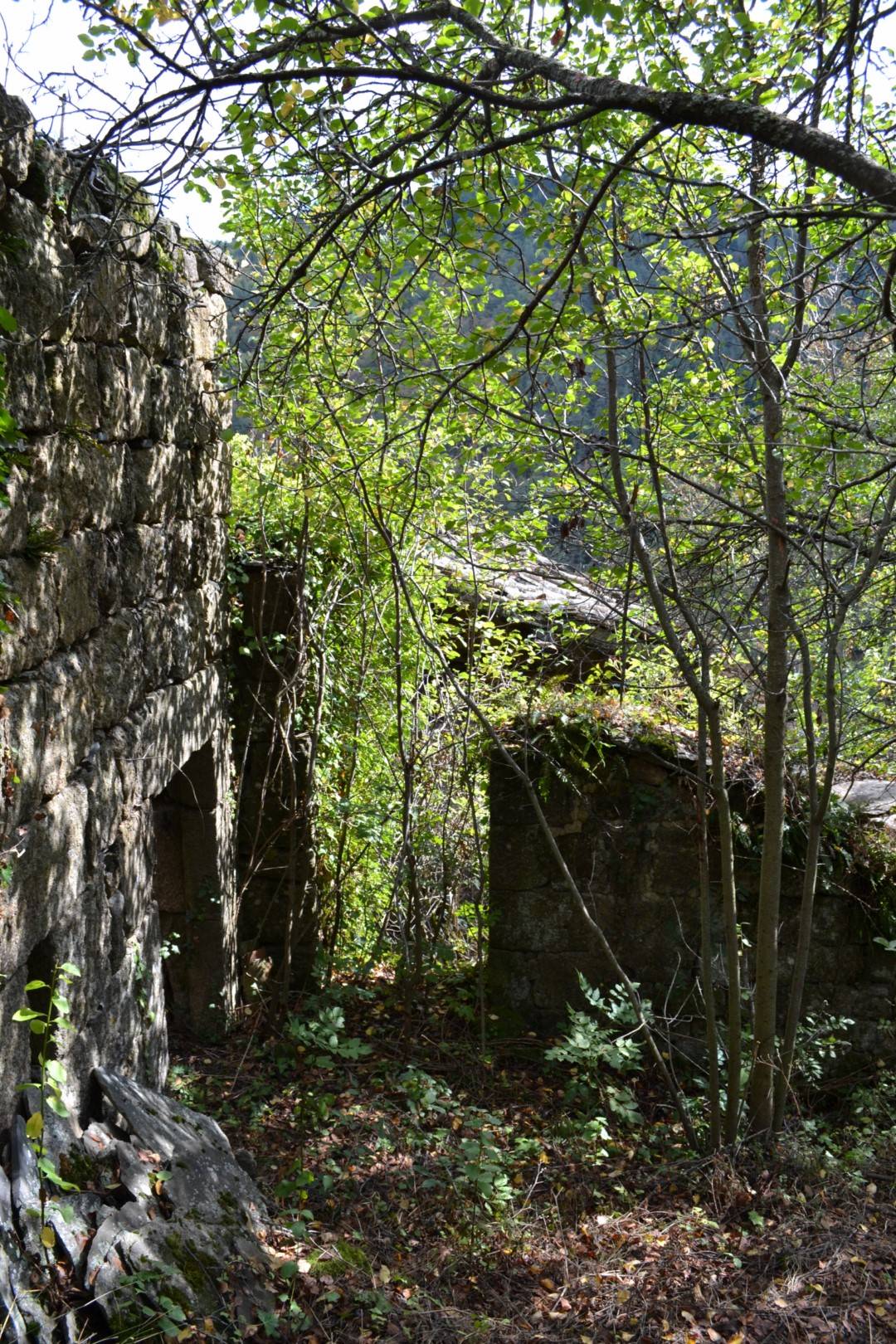 Agence Cévenole 07320