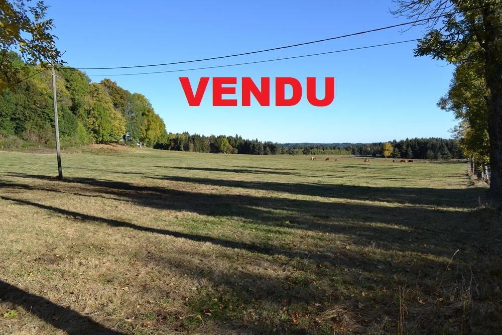 Terrain Agricole pour prêt de 10 hectares