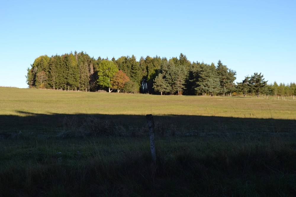 Terrain Agricole pour prêt de 10 hectares