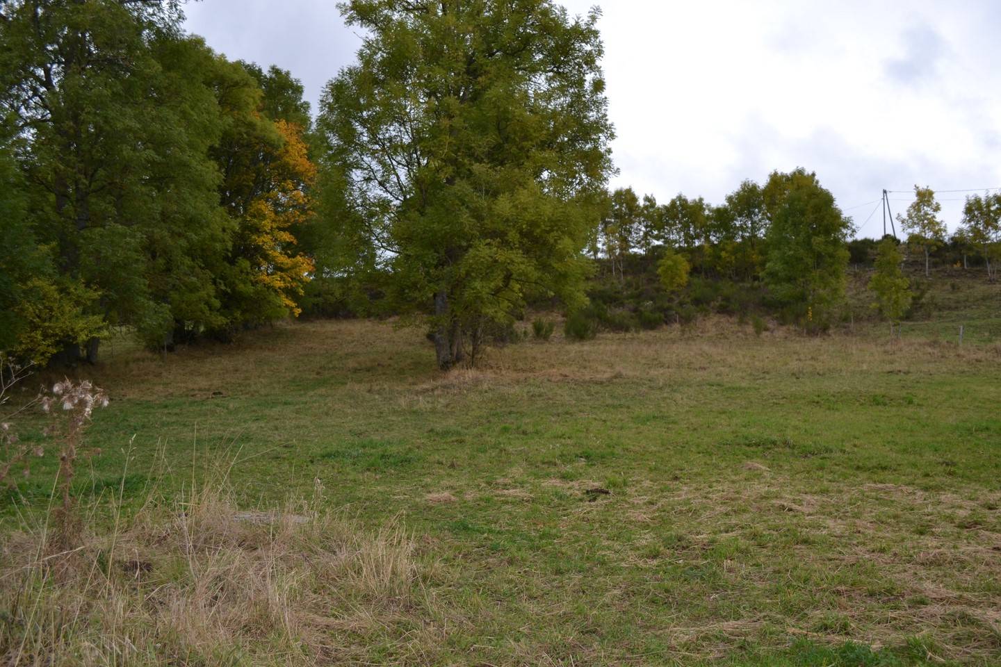 Ancienne ferme à rénover. 4000m² de terrain à Saint Front.