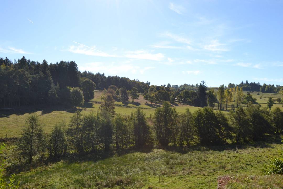 Maison a vendre avec bel environnement et jardin