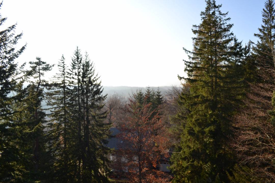 Maison bourgeoise avec vue sur le Lizieux au Chambon sur Lignon