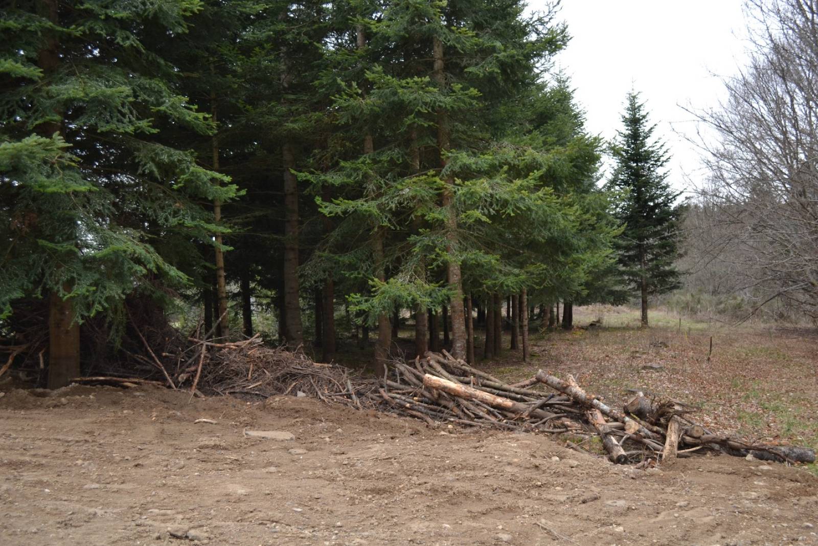 Terrain constructible à proximité du village du Chambon sur Lignon