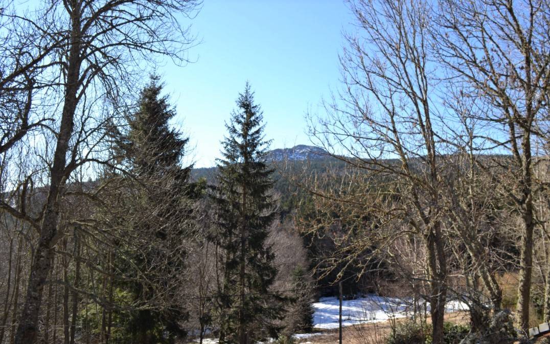 Ancienne ferme de caractère à Saint Jeures